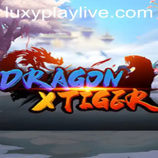 Discover DragonXTiger: A Digital Adventure