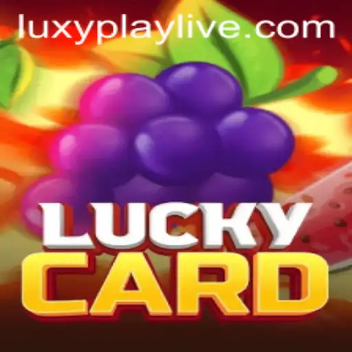 Discovering LuckyCard: The Game of Strategy and Chance
